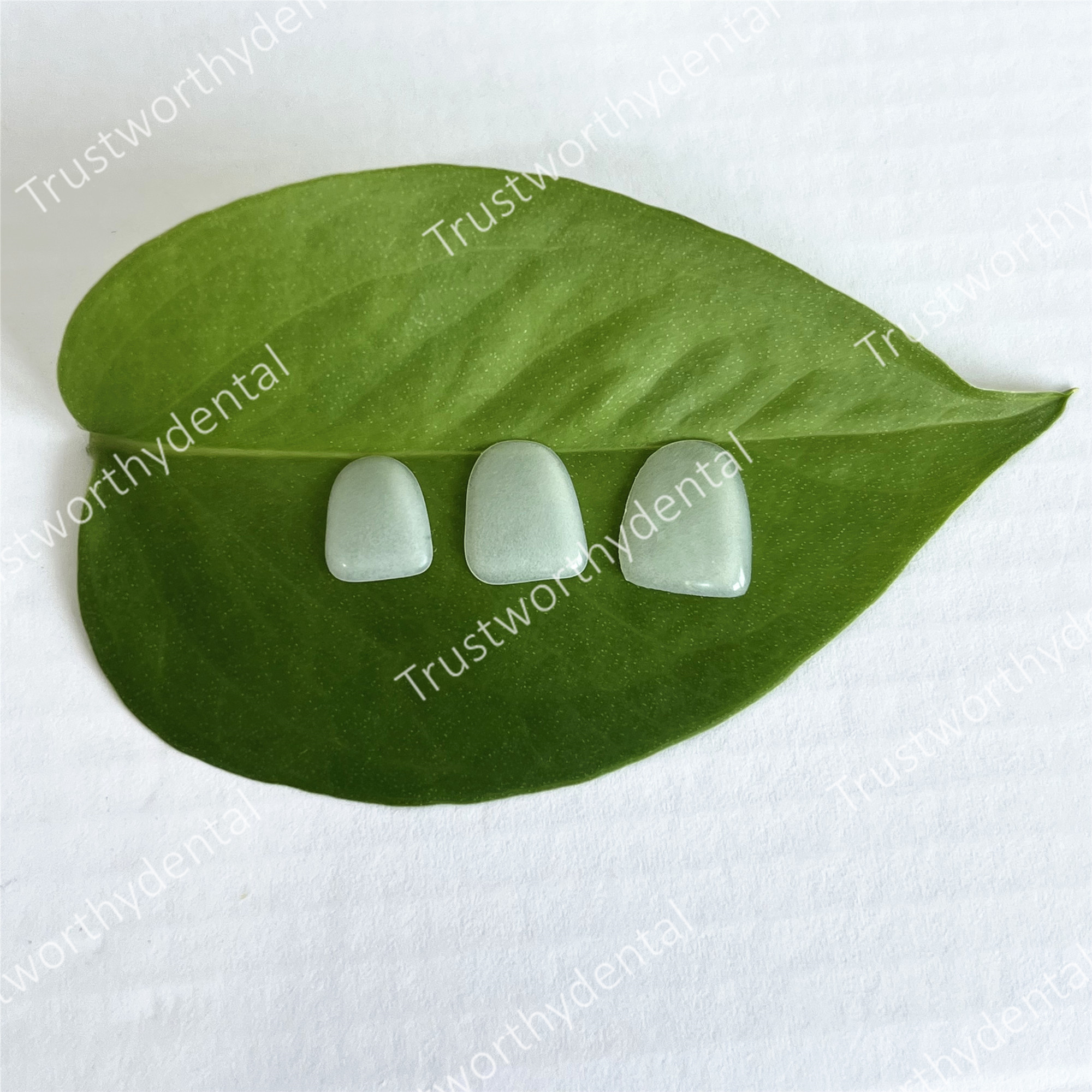 Dental Composite Porcelain Ven - Teeth Paint Whitening 리뷰 및 가격