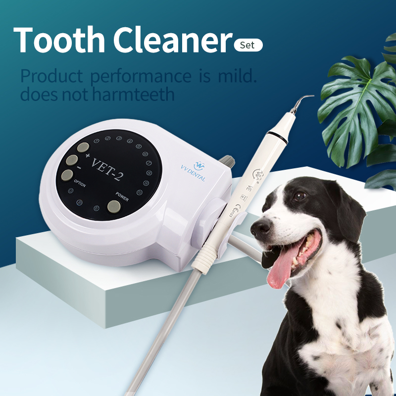 Pet Dental Ultrasonic Scaler D - Teeth Whitening Session 리뷰 및 가격