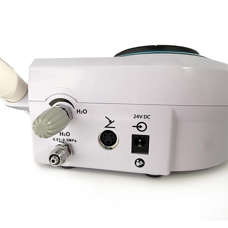Pet Dental Ultrasonic Scaler D - Teeth Whitening Session 리뷰 및 가격