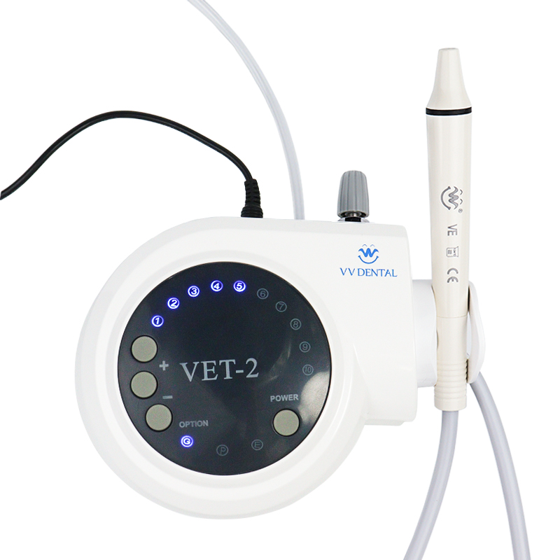 Pet Dental Ultrasonic Scaler D - Teeth Whitening Session 리뷰 및 가격